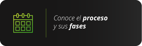 Fases del proceso