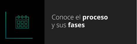 Fases del proceso